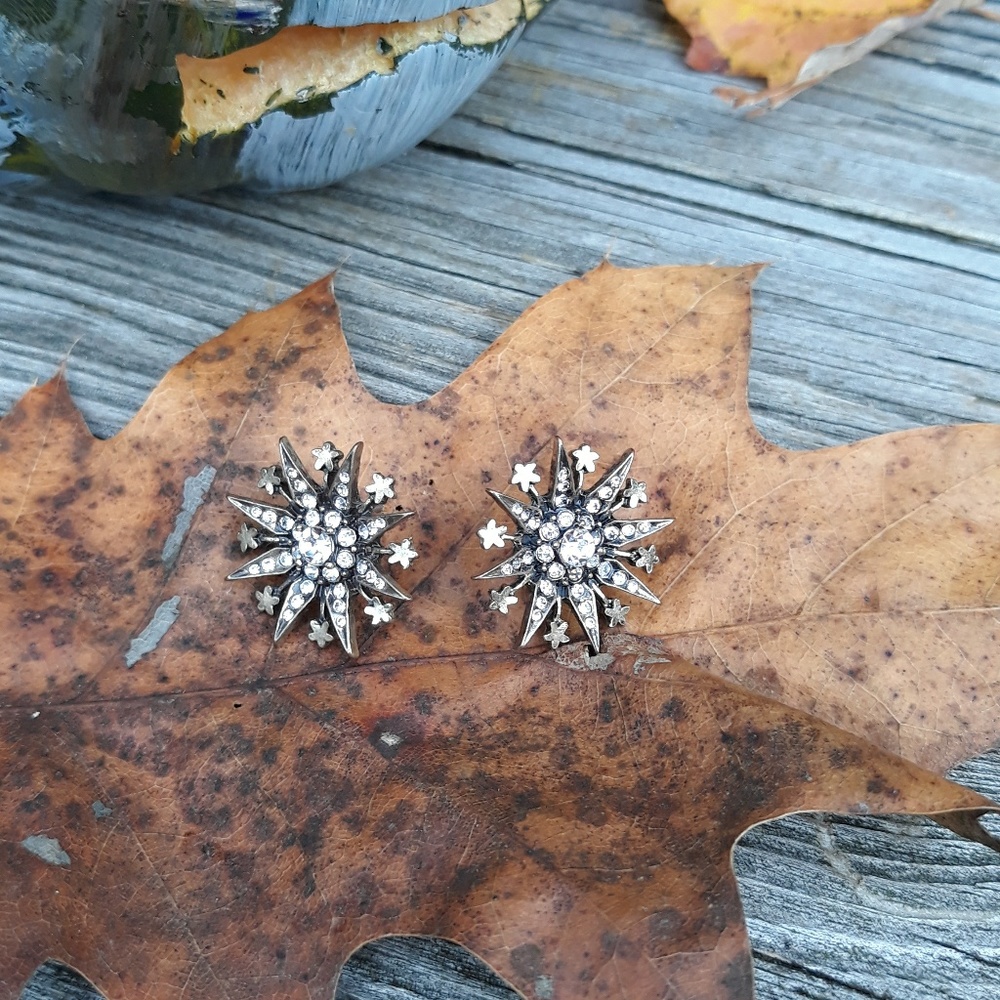 Star Earrings
